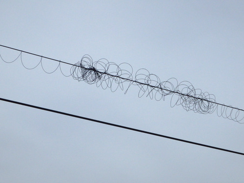 Loose strands of wire wrapped around electrical wire.